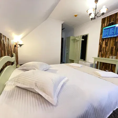 Casa Bicajeanului - *