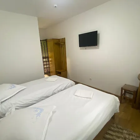 Casa Bicajeanului - *